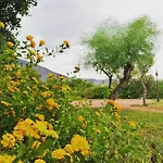 Agriturismo - B&B 