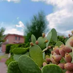 Agriturismo - B&B 