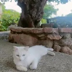 Εξοχικό σπίτι Agriturismo - B&B 