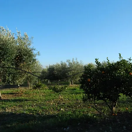 Agriturismo - B&B 