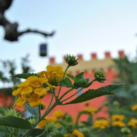 Agriturismo - B&B 