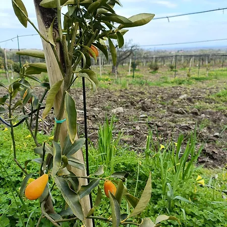 - La Funicolare Francavilla Marittima