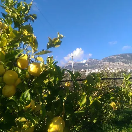 - La Funicolare Casa di campagna