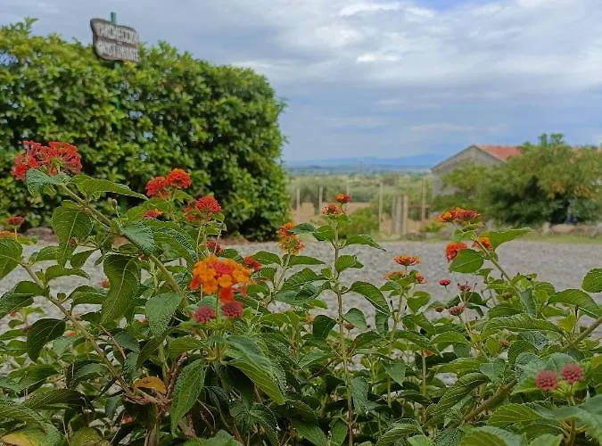 בית כפרי Agriturismo - B&B 