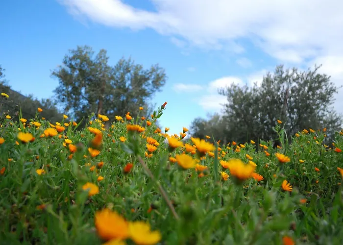 בית כפרי Agriturismo - B&B 